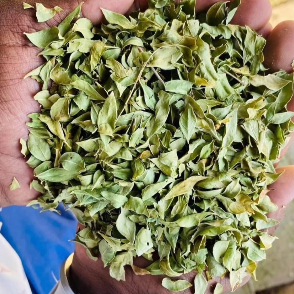 henna powder manufacturing unit India