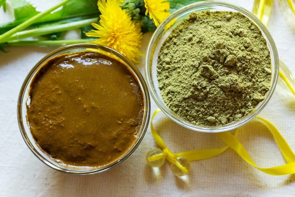 henna powder exporter India